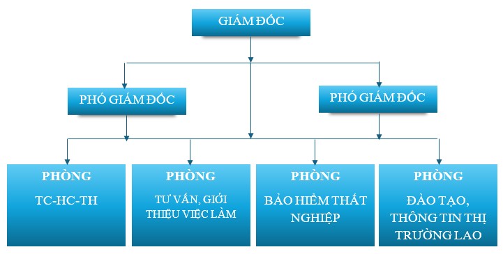 Cơ cấu tổ chức bộ máy