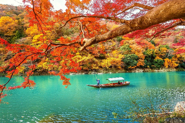 TUYỂN NGƯỜI LAO ĐỘNG ĐI LÀM VIỆC TẠI NHẬT BẢN (VẬN HÀNH MÁY XÂY DỰNG)